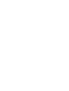 Federazione pugilistica italiana