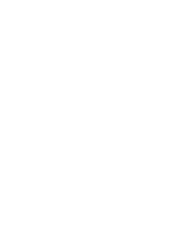 Federazione pugilistica italiana